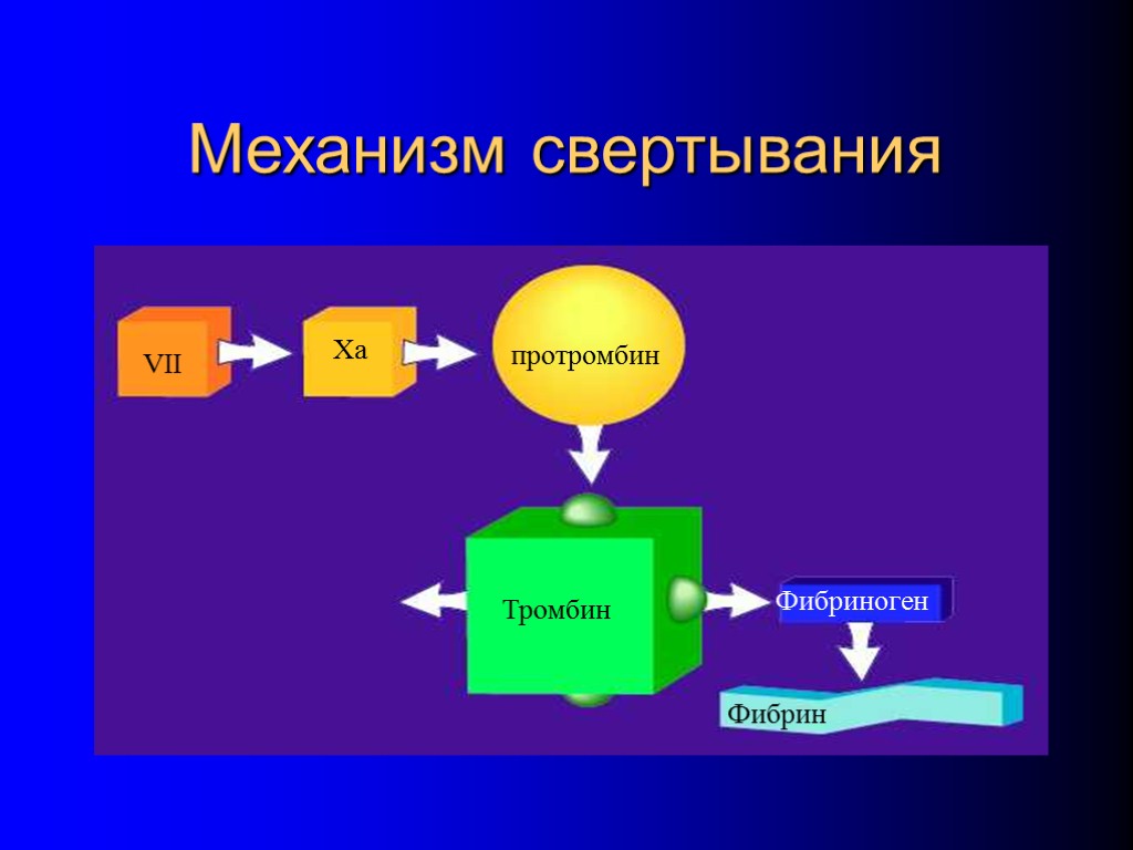 Механизм свертывания VII Xa протромбин Тромбин Фибриноген Фибрин